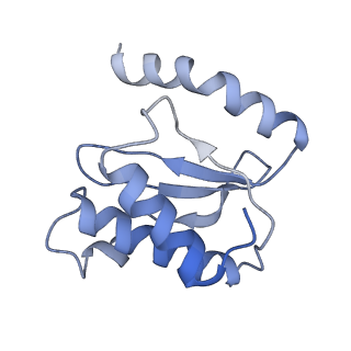 8282_5kpx_N_v1-4
Structure of RelA bound to ribosome in presence of A/R tRNA (Structure IV)