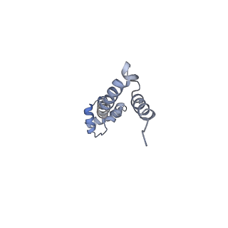 8282_5kpx_P_v1-4
Structure of RelA bound to ribosome in presence of A/R tRNA (Structure IV)