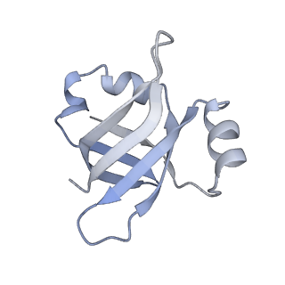 8282_5kpx_U_v1-4
Structure of RelA bound to ribosome in presence of A/R tRNA (Structure IV)