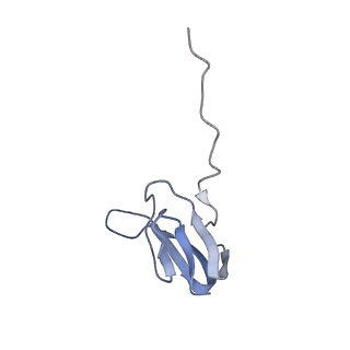 8282_5kpx_V_v1-4
Structure of RelA bound to ribosome in presence of A/R tRNA (Structure IV)