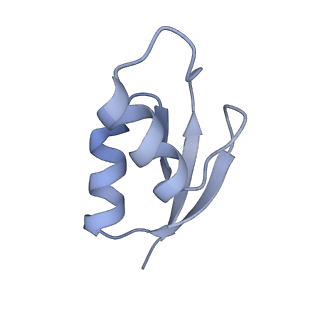 8282_5kpx_Y_v1-4
Structure of RelA bound to ribosome in presence of A/R tRNA (Structure IV)
