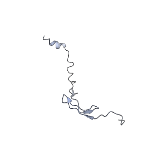 8282_5kpx_Z_v1-4
Structure of RelA bound to ribosome in presence of A/R tRNA (Structure IV)