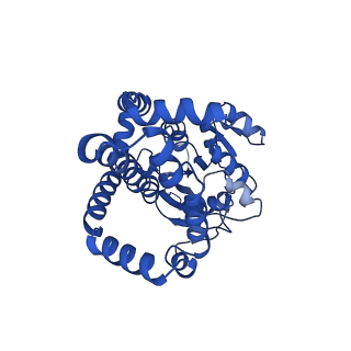 0751_6kq8_B_v1-0
328 K cryoEM structure of Sso-KARI in complex with Mg2+