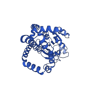 0751_6kq8_B_v1-1
328 K cryoEM structure of Sso-KARI in complex with Mg2+