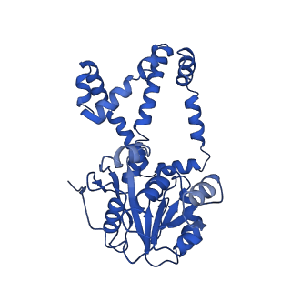 0751_6kq8_C_v1-1
328 K cryoEM structure of Sso-KARI in complex with Mg2+