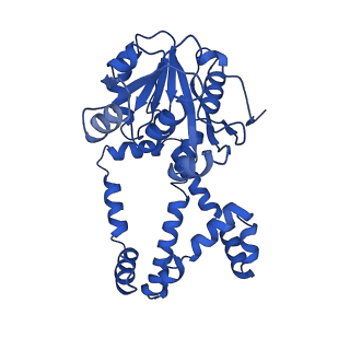 0751_6kq8_D_v1-0
328 K cryoEM structure of Sso-KARI in complex with Mg2+