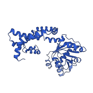 0751_6kq8_E_v1-1
328 K cryoEM structure of Sso-KARI in complex with Mg2+