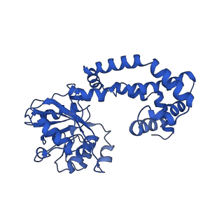 0751_6kq8_F_v1-1
328 K cryoEM structure of Sso-KARI in complex with Mg2+