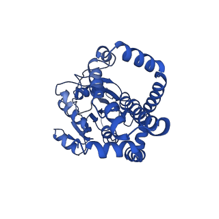 0751_6kq8_G_v1-0
328 K cryoEM structure of Sso-KARI in complex with Mg2+