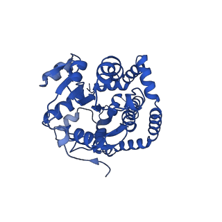 0751_6kq8_H_v1-0
328 K cryoEM structure of Sso-KARI in complex with Mg2+
