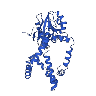 0751_6kq8_I_v1-1
328 K cryoEM structure of Sso-KARI in complex with Mg2+