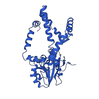 0751_6kq8_J_v1-1
328 K cryoEM structure of Sso-KARI in complex with Mg2+