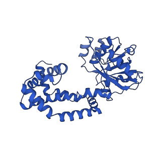 0751_6kq8_K_v1-1
328 K cryoEM structure of Sso-KARI in complex with Mg2+