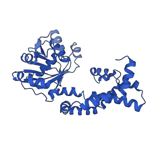 0751_6kq8_L_v1-0
328 K cryoEM structure of Sso-KARI in complex with Mg2+