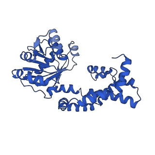 0751_6kq8_L_v1-1
328 K cryoEM structure of Sso-KARI in complex with Mg2+