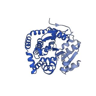 0752_6kqj_A_v1-1
309 K cryoEM structure of Sso-KARI in complex with Mg2+, NADH and CPD