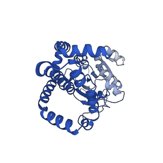 0752_6kqj_B_v1-0
309 K cryoEM structure of Sso-KARI in complex with Mg2+, NADH and CPD