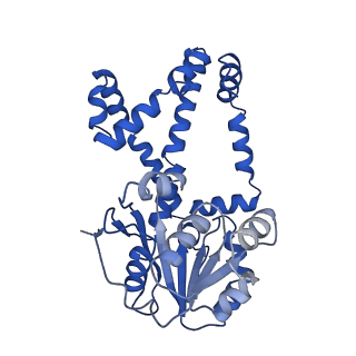 0752_6kqj_C_v1-0
309 K cryoEM structure of Sso-KARI in complex with Mg2+, NADH and CPD