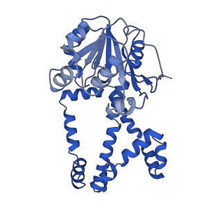 0752_6kqj_D_v1-1
309 K cryoEM structure of Sso-KARI in complex with Mg2+, NADH and CPD