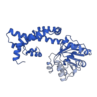 0752_6kqj_E_v1-1
309 K cryoEM structure of Sso-KARI in complex with Mg2+, NADH and CPD