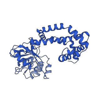 0752_6kqj_F_v1-1
309 K cryoEM structure of Sso-KARI in complex with Mg2+, NADH and CPD