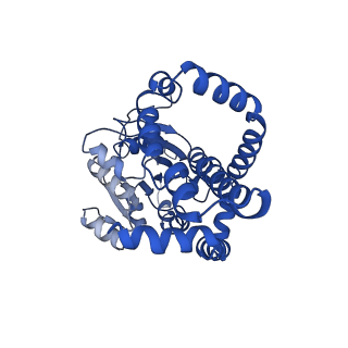 0752_6kqj_G_v1-1
309 K cryoEM structure of Sso-KARI in complex with Mg2+, NADH and CPD