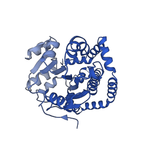 0752_6kqj_H_v1-1
309 K cryoEM structure of Sso-KARI in complex with Mg2+, NADH and CPD