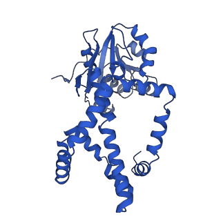 0752_6kqj_I_v1-1
309 K cryoEM structure of Sso-KARI in complex with Mg2+, NADH and CPD