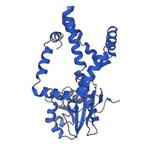 0752_6kqj_J_v1-1
309 K cryoEM structure of Sso-KARI in complex with Mg2+, NADH and CPD