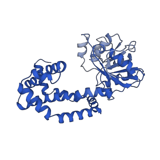 0752_6kqj_K_v1-1
309 K cryoEM structure of Sso-KARI in complex with Mg2+, NADH and CPD