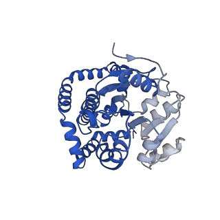 0754_6kqo_A_v1-1
328 K cryoEM structure of Sso-KARI in complex with Mg2+, NADH and CPD