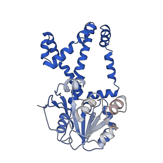 0754_6kqo_C_v1-0
328 K cryoEM structure of Sso-KARI in complex with Mg2+, NADH and CPD