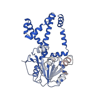 0754_6kqo_C_v1-1
328 K cryoEM structure of Sso-KARI in complex with Mg2+, NADH and CPD