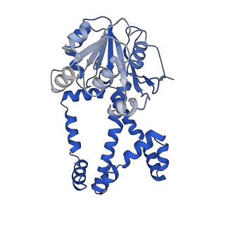 0754_6kqo_D_v1-1
328 K cryoEM structure of Sso-KARI in complex with Mg2+, NADH and CPD