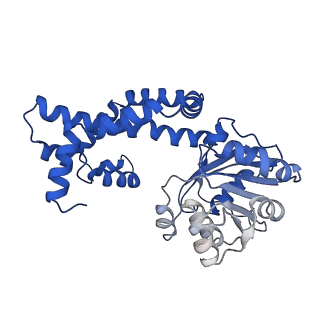 0754_6kqo_E_v1-1
328 K cryoEM structure of Sso-KARI in complex with Mg2+, NADH and CPD