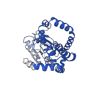 0754_6kqo_G_v1-1
328 K cryoEM structure of Sso-KARI in complex with Mg2+, NADH and CPD