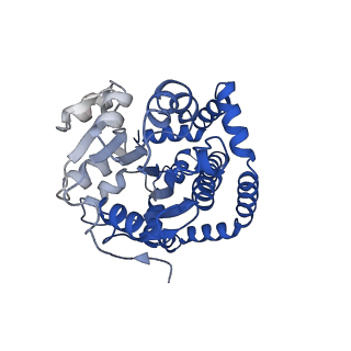 0754_6kqo_H_v1-1
328 K cryoEM structure of Sso-KARI in complex with Mg2+, NADH and CPD