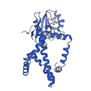 0754_6kqo_I_v1-1
328 K cryoEM structure of Sso-KARI in complex with Mg2+, NADH and CPD