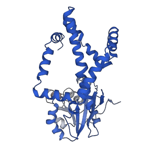 0754_6kqo_J_v1-1
328 K cryoEM structure of Sso-KARI in complex with Mg2+, NADH and CPD