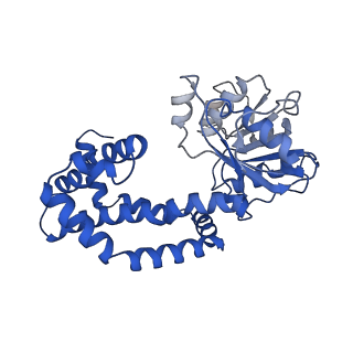 0754_6kqo_K_v1-1
328 K cryoEM structure of Sso-KARI in complex with Mg2+, NADH and CPD