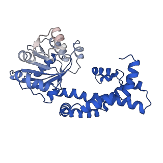 0754_6kqo_L_v1-1
328 K cryoEM structure of Sso-KARI in complex with Mg2+, NADH and CPD