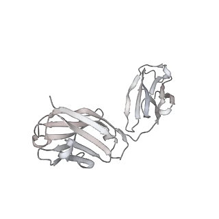 22997_7kqe_I_v1-1
SARS-CoV-2 spike glycoprotein:Fab 3D11 complex
