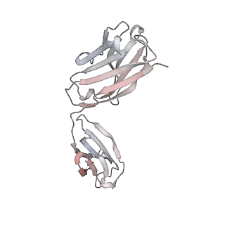 22997_7kqe_J_v1-1
SARS-CoV-2 spike glycoprotein:Fab 3D11 complex