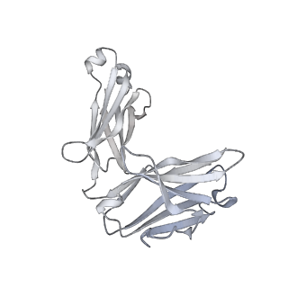 22997_7kqe_L_v1-1
SARS-CoV-2 spike glycoprotein:Fab 3D11 complex
