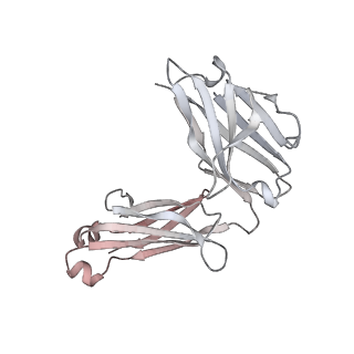 22997_7kqe_M_v1-1
SARS-CoV-2 spike glycoprotein:Fab 3D11 complex