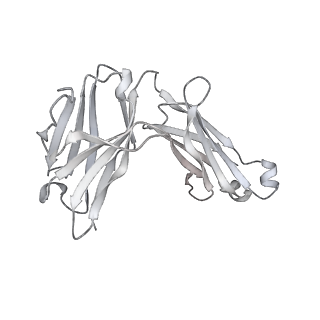 22997_7kqe_N_v1-1
SARS-CoV-2 spike glycoprotein:Fab 3D11 complex