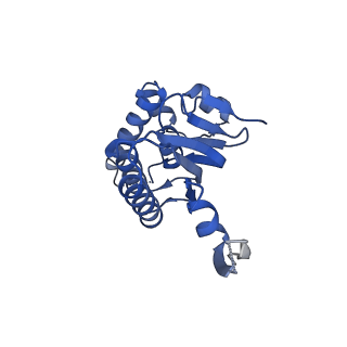 23000_7kr2_C_v1-0
ClpP from Neisseria meningitidis - Compressed conformation