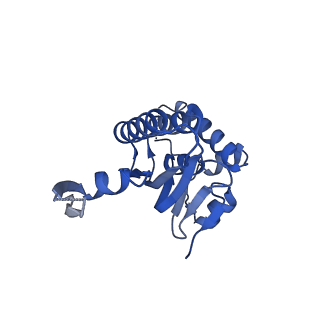 23000_7kr2_E_v1-0
ClpP from Neisseria meningitidis - Compressed conformation