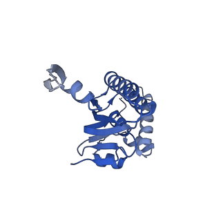 23000_7kr2_F_v1-0
ClpP from Neisseria meningitidis - Compressed conformation