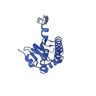 23000_7kr2_G_v1-0
ClpP from Neisseria meningitidis - Compressed conformation